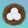 The Nest